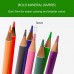 80 crayons dessin pastel de couleur macaron pour livres de coloriage adultes