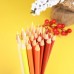 520 crayons à dessin de couleur Noyau mou
