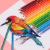 48 crayons d'aquarelle pré-taillés pour enfants élèves artistes